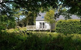 Araucaria Croft Skye